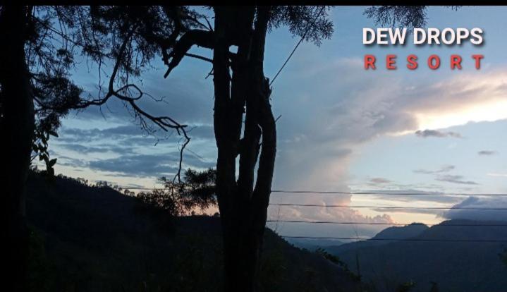 Dew Drop Resort エッラ エクステリア 写真